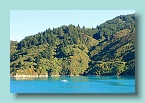 32_Marlborough Sounds Anchorage